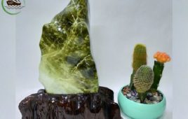Cây đá trấn trạch phong thủy tạo nên sự cân bằng năng lượng